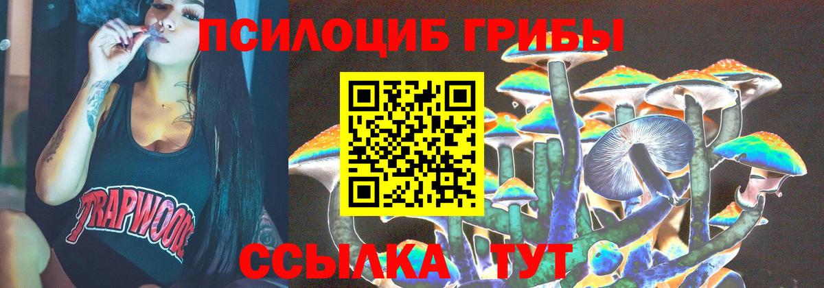 Галлюциногенные грибы Psilocybine cubensis  Вход с VPN  где купить наркотик  Казань 